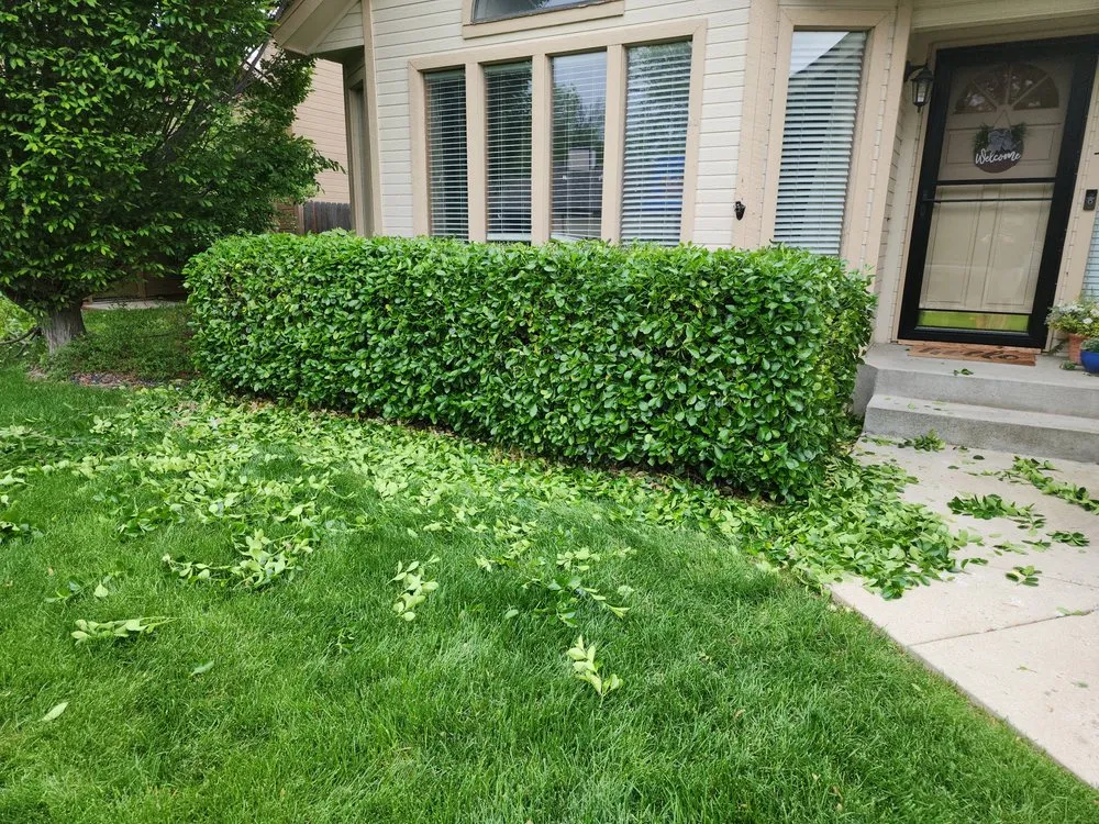 Trusted landscape installation for residential properties across Boise, ID - One N Done Landscaping And Pressure Washing