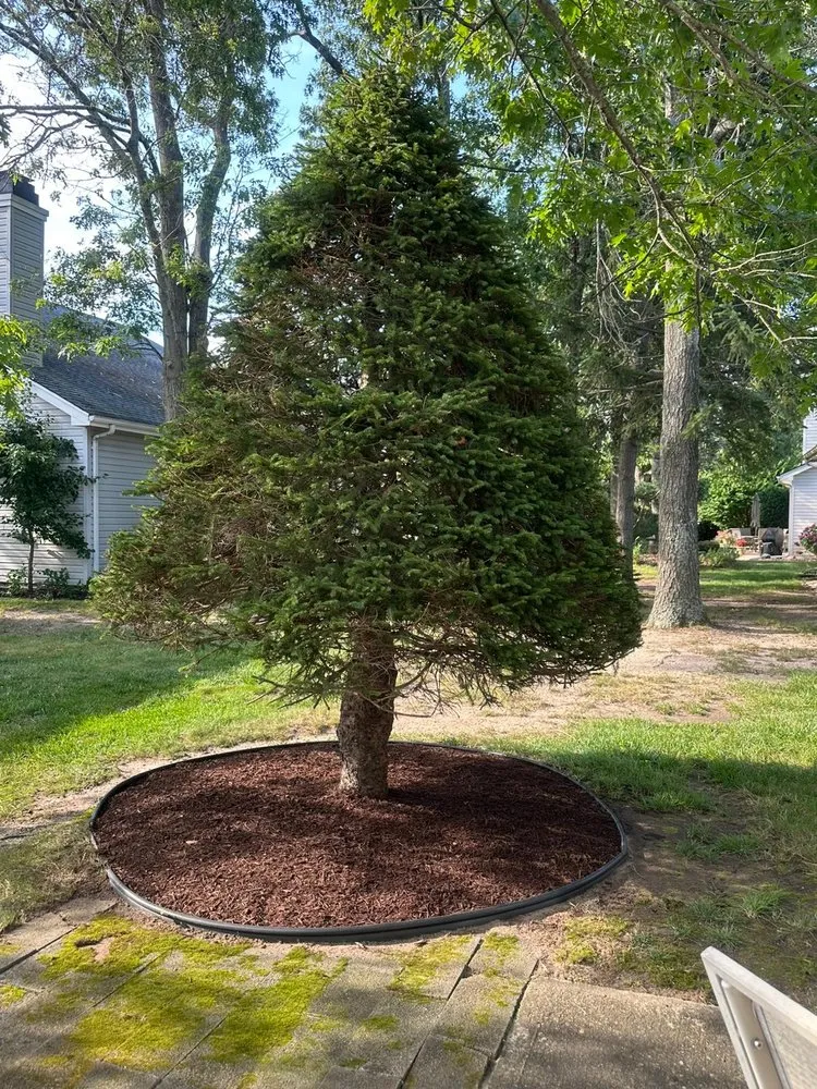 Expert yard cleanup service in Toms River, NJ - One N Done Landscaping