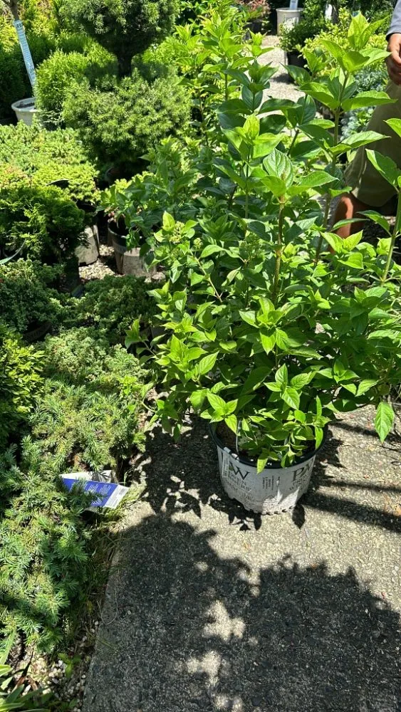 Reliable landscape installation near you across Toms River, NJ - One N Done Landscaping