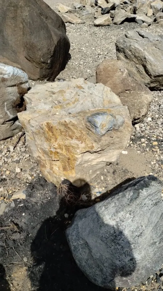 Reliable residential landscaping experts serving Toms River, NJ - One N Done Landscaping