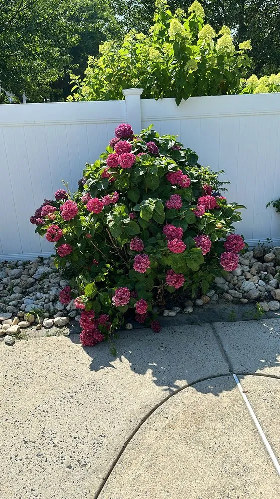 Local lawn mowing service in Toms River, NJ by One N Done Landscaping