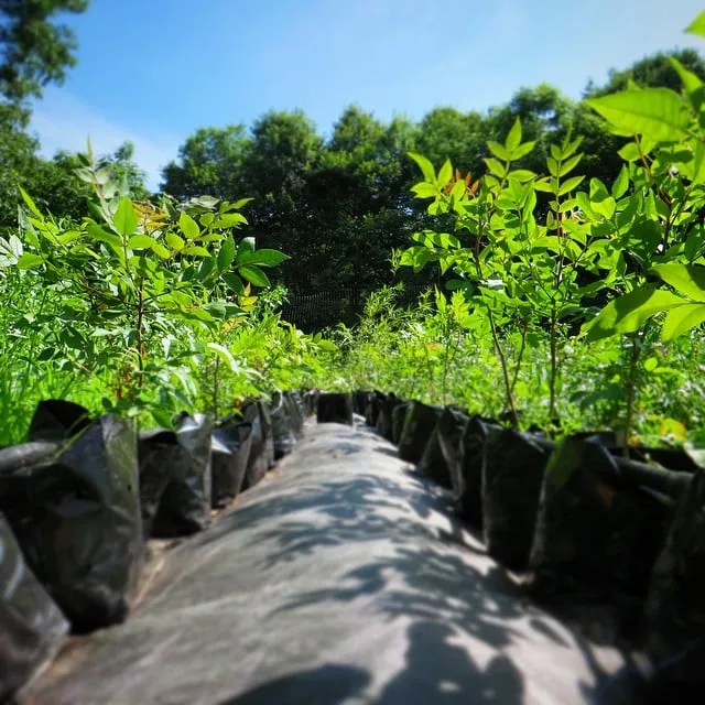 Custom garden landscaping for outdoor upgrades across Beacon, NY - One Nature