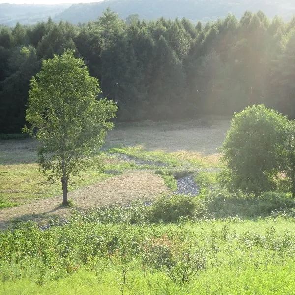 Top-rated garden landscaping for outdoor upgrades in Beacon, NY by One Nature