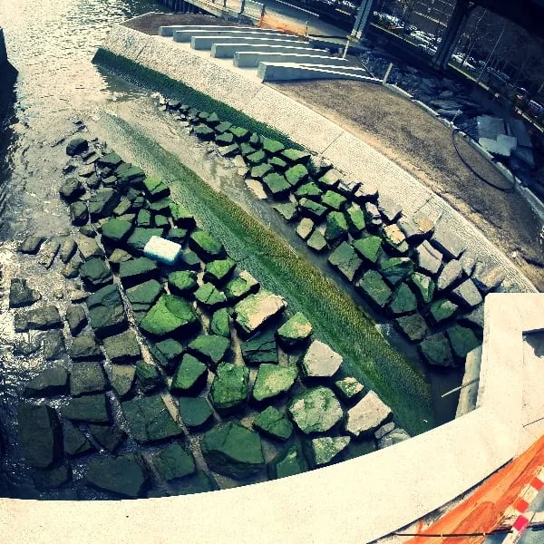 Custom residential landscaping in Beacon, NY - One Nature