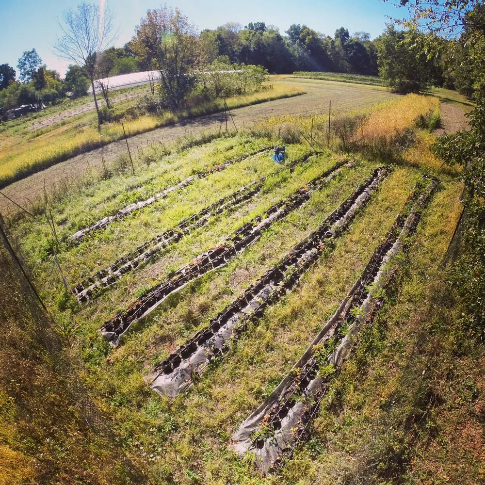 Reliable landscaping services for homes across Beacon, NY - One Nature