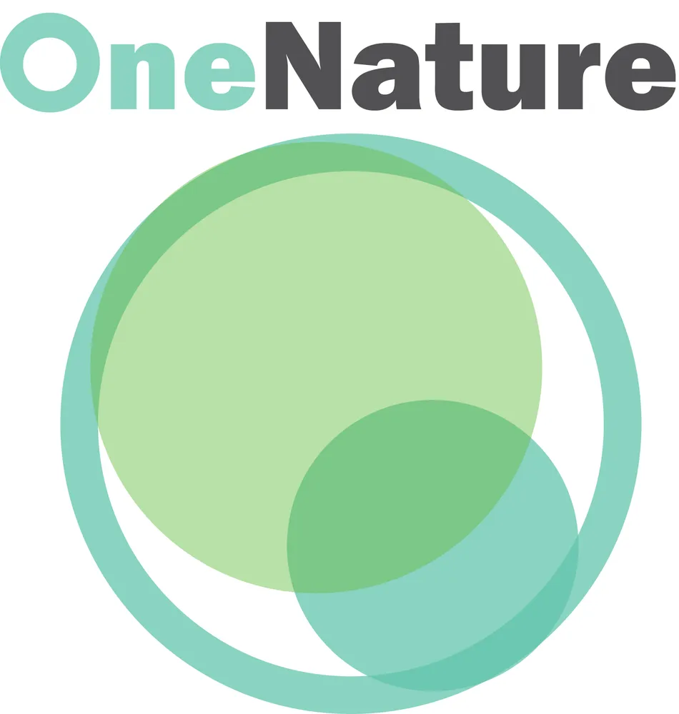 Professional yard maintenance with custom design in Beacon, NY by One Nature