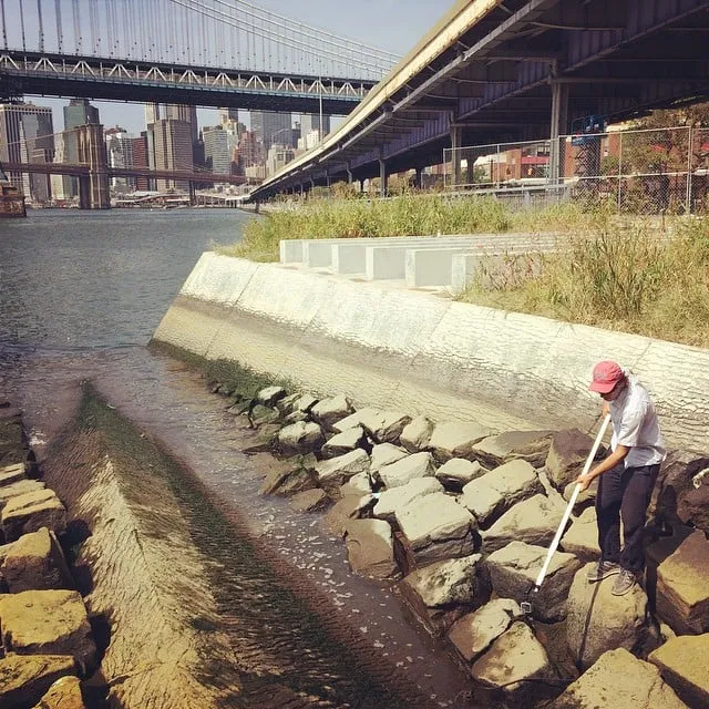 Trusted garden landscaping in Beacon, NY by One Nature