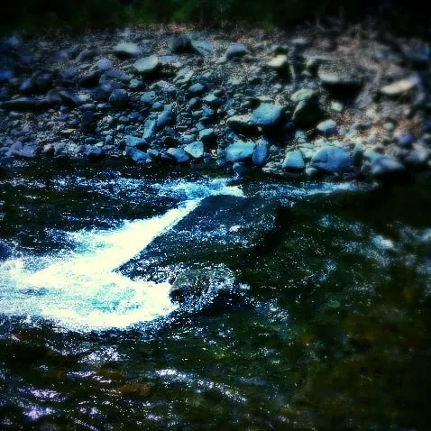 Top-rated lawn mowing service in Beacon, NY - One Nature