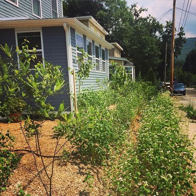 Affordable landscape design in Beacon, NY by One Nature