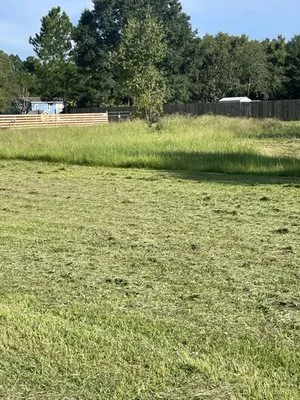 One Oak Land Services Logo