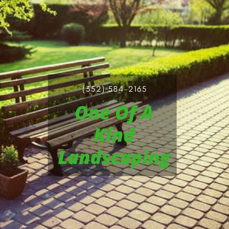 Affordable yard cleanup service experts serving Spring Hill, FL - One of a Kind Landscaping & Lawncare