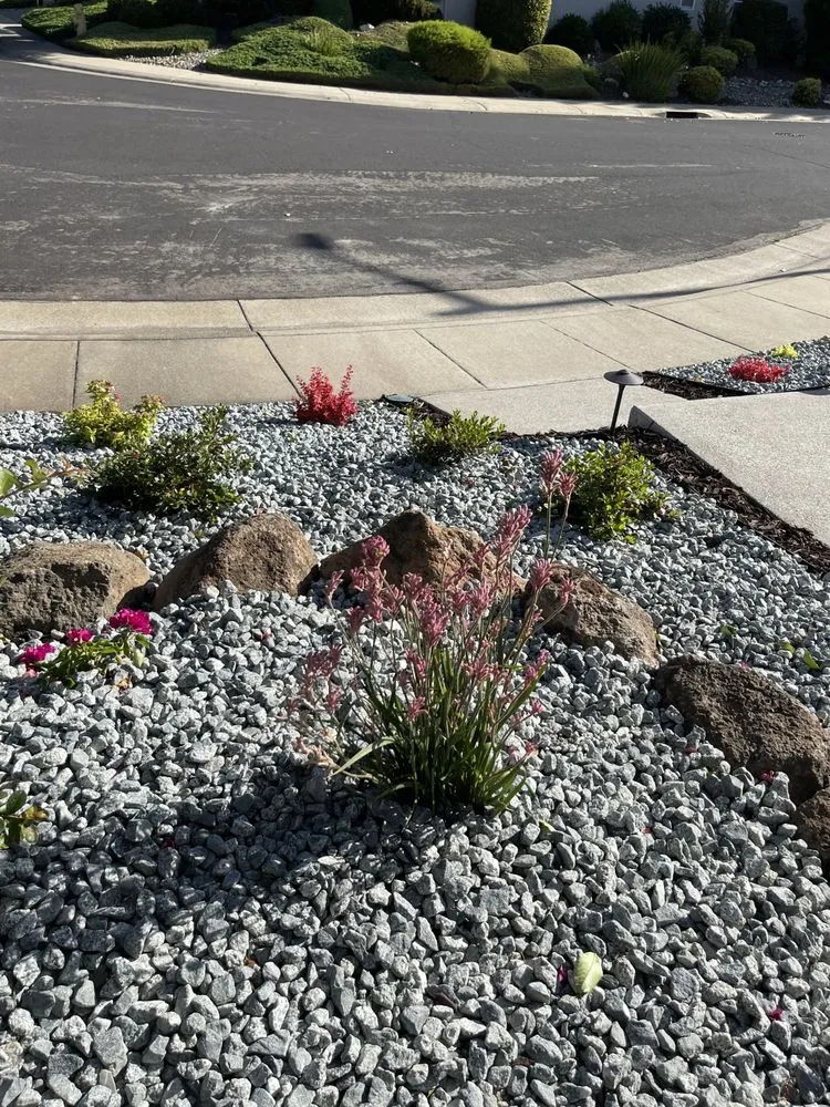 Reliable landscape design with custom design in Sacramento, CA by One of A Kind Landscaping