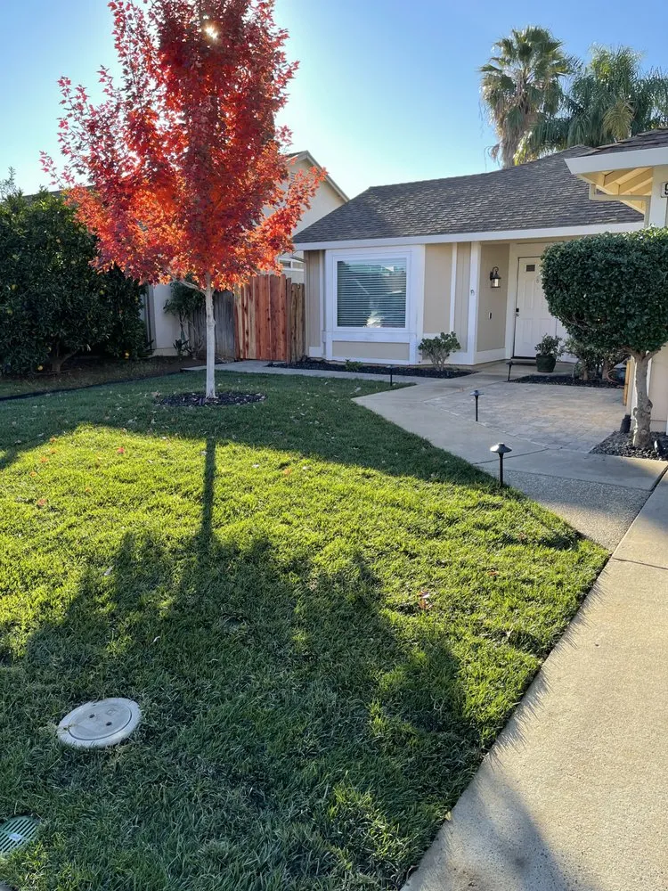 Local garden landscaping with custom design in Sacramento, CA by One of A Kind Landscaping