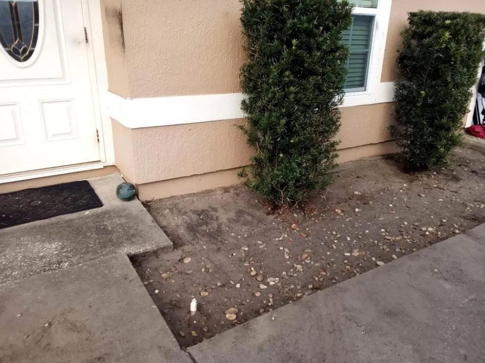 Affordable lawn care service in Cocoa, FL - One of a Kind Lawn and Tree