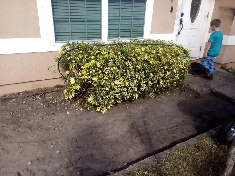 Trusted yard maintenance experts serving Cocoa, FL - One of a Kind Lawn and Tree