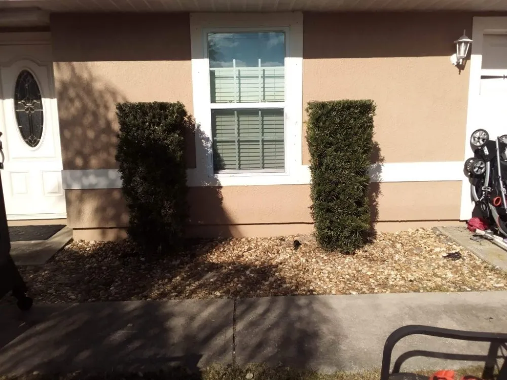 Local landscape installation experts serving Cocoa, FL - One of a Kind Lawn and Tree