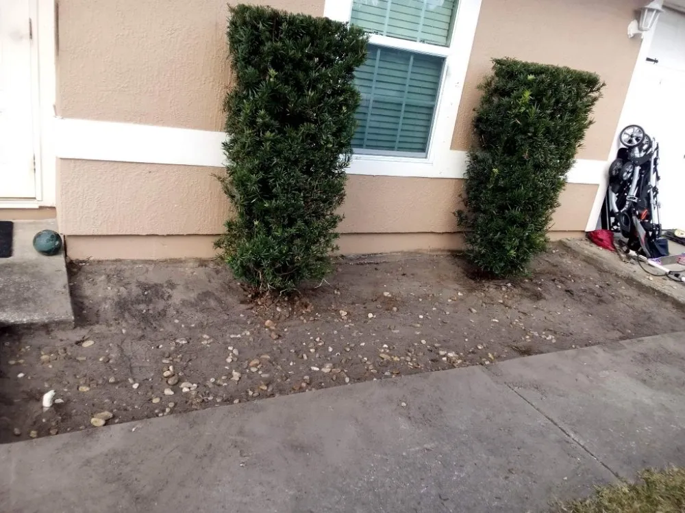 Custom lawn mowing service in Cocoa, FL - One of a Kind Lawn and Tree