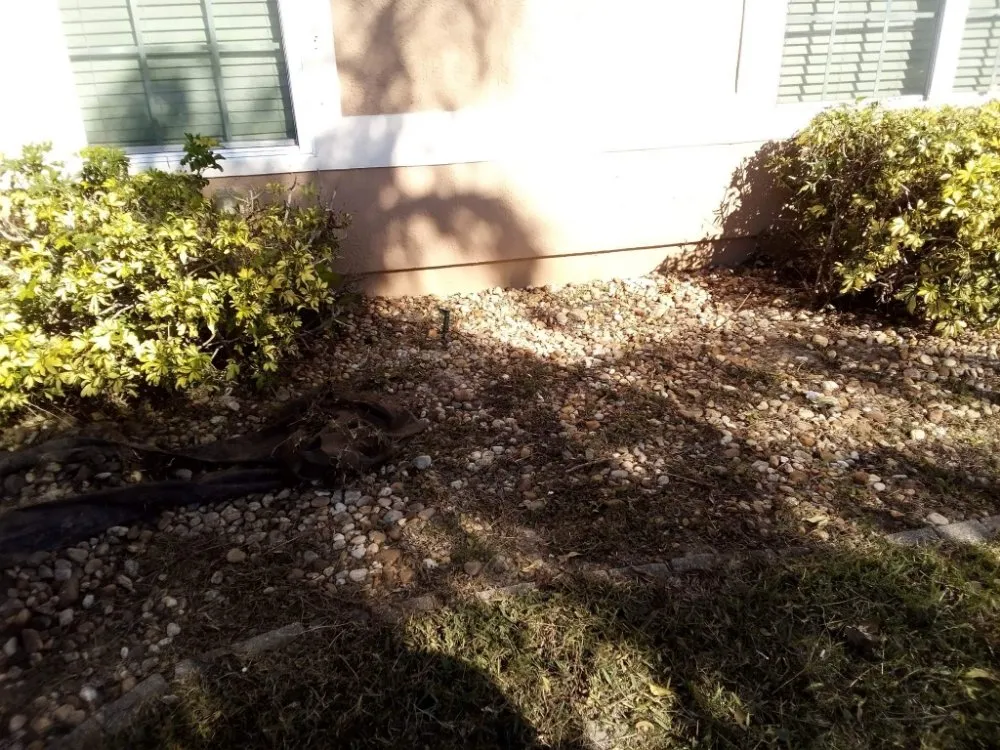 Professional outdoor landscaping near you in Cocoa, FL by One of a Kind Lawn and Tree