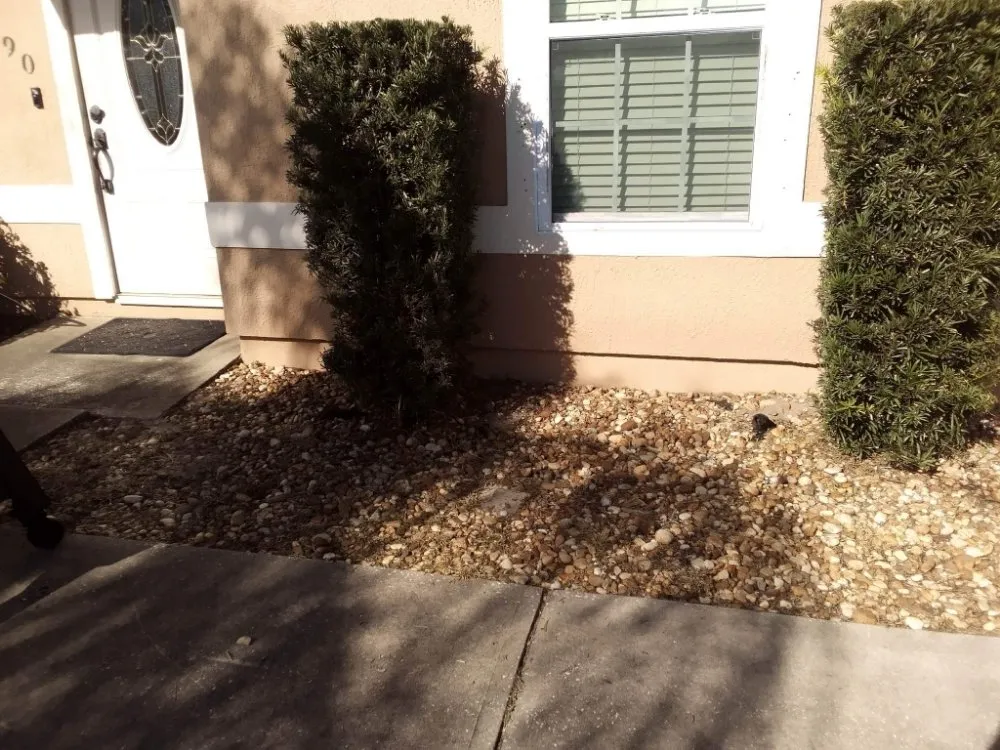 Top-rated landscape design for year-round maintenance across Cocoa, FL - One of a Kind Lawn and Tree