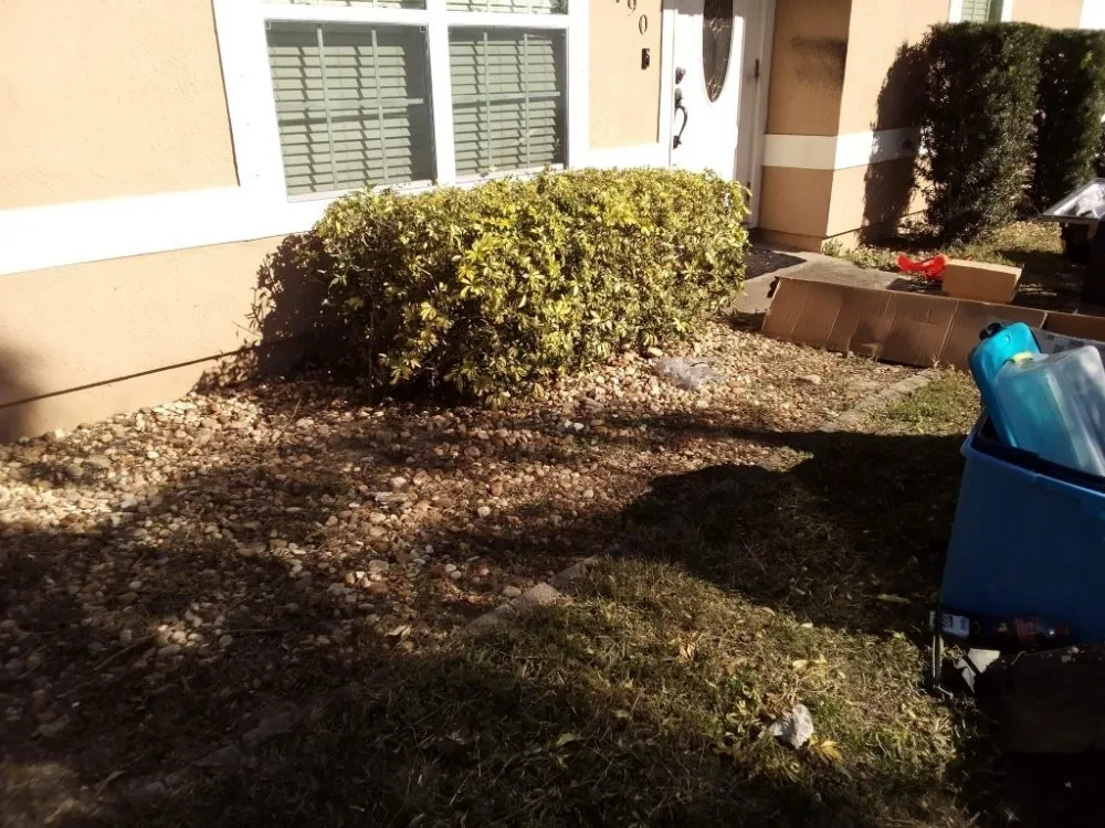 Custom landscape installation in Cocoa, FL by One of a Kind Lawn and Tree