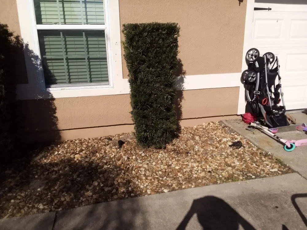 Custom garden landscaping in Cocoa, FL by One of a Kind Lawn and Tree