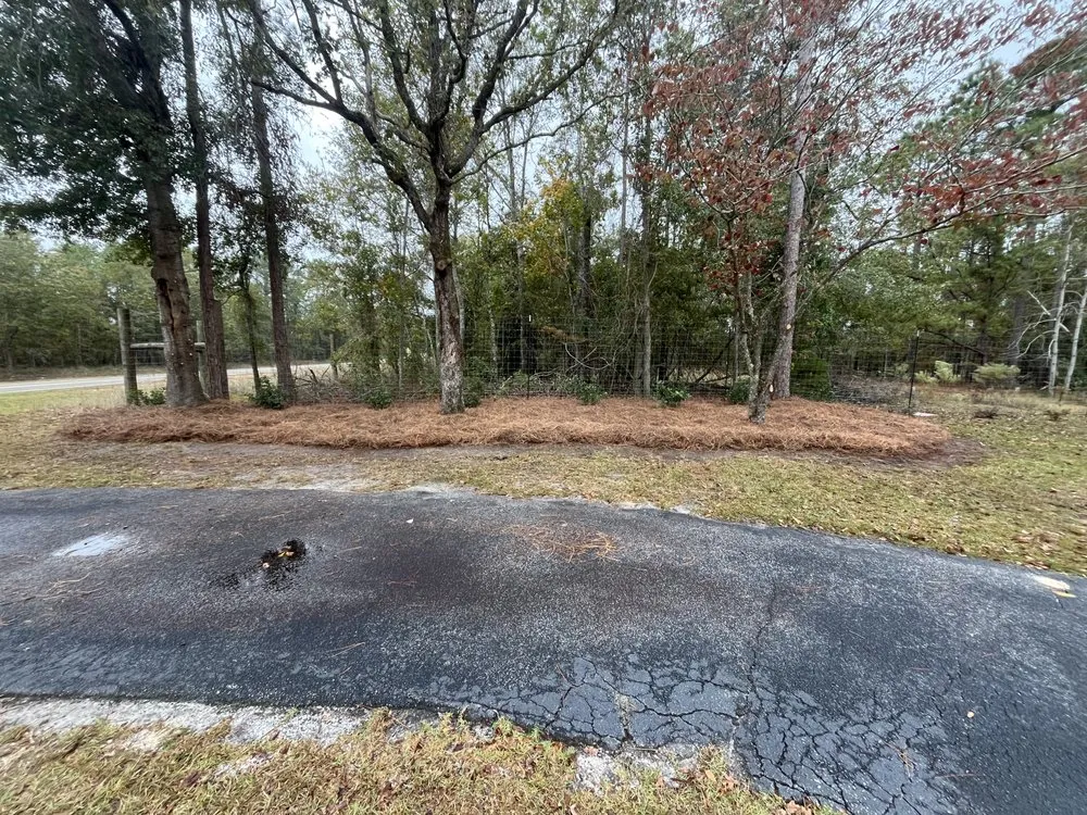 Reliable lawn care service with custom design across Twin City, GA - One of a Kind Lawn Care and Tree Services