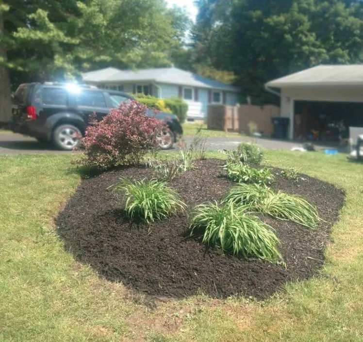 Top-rated outdoor landscaping in Fairport, NY by One Service