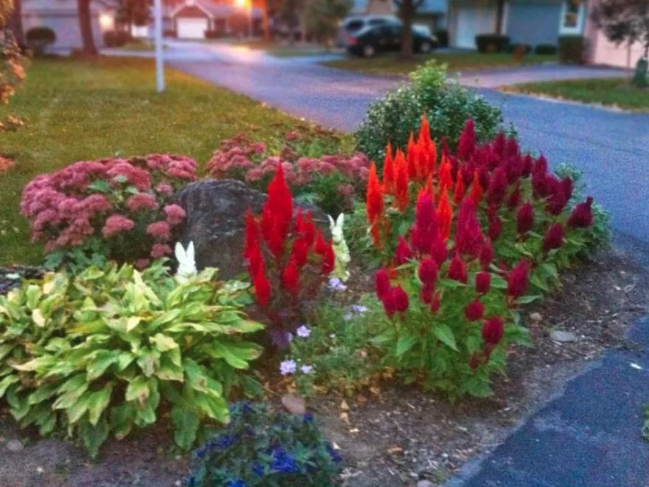 Trusted yard maintenance in Fairport, NY - One Service