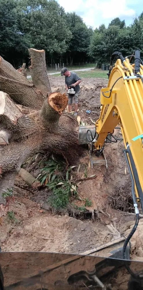 Custom yard cleanup service for beautiful yards in Loxley, AL by One Shot Land Management