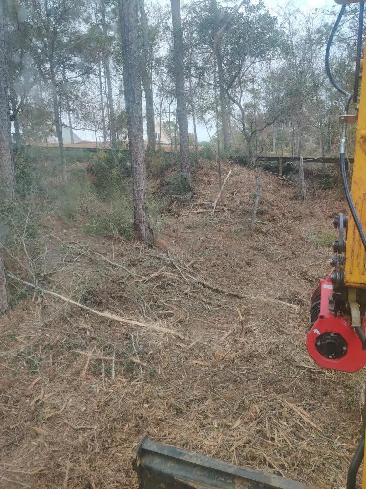 Expert landscape installation for residential properties across Loxley, AL - One Shot Land Management