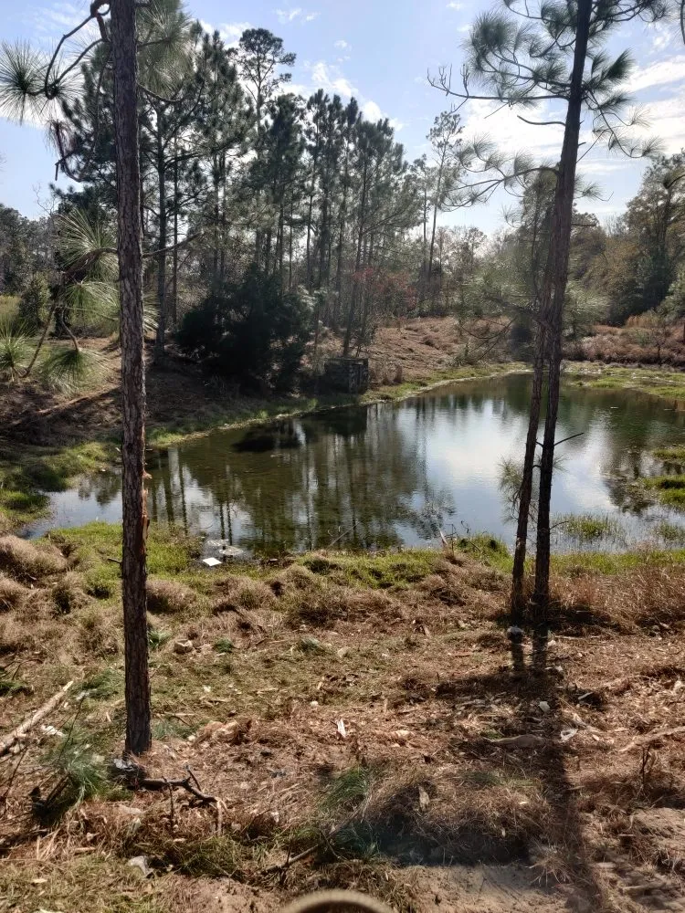 Affordable landscaping services for residential properties in Loxley, AL by One Shot Land Management