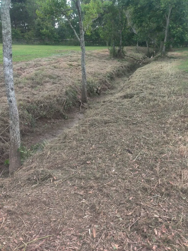 Affordable residential landscaping for beautiful yards across Loxley, AL - One Shot Land Management