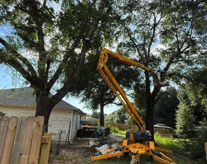 Trusted yard cleanup service in Crestview, FL - One Shot Lawn Care