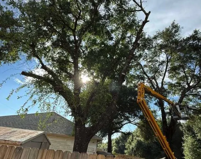 Professional landscape installation for outdoor upgrades across Crestview, FL - One Shot Lawn Care