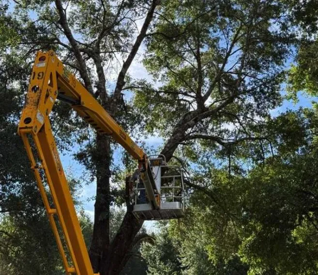 Local outdoor landscaping near you across Crestview, FL - One Shot Lawn Care