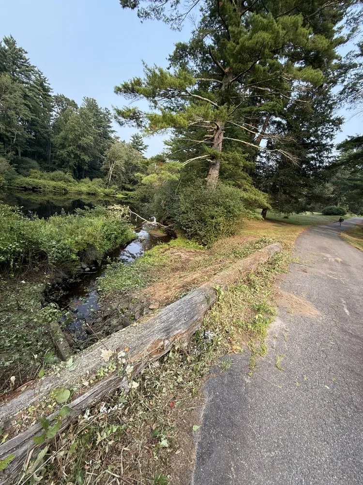 Reliable yard cleanup service in Athol, MA by One solution