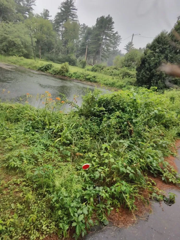 Local landscaping services in Athol, MA by One solution