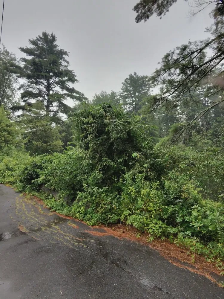 Trusted landscape design in Athol, MA by One solution