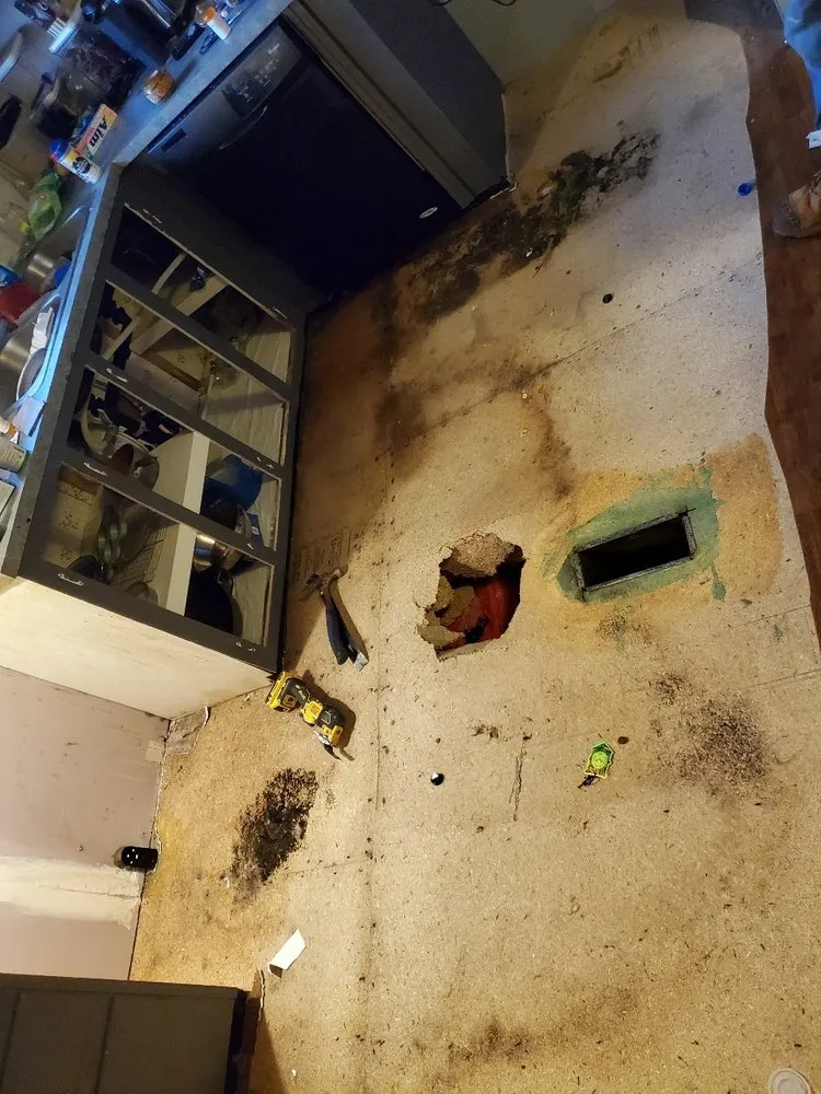 Trusted yard cleanup service with custom design in Spartanburg, SC by One Source Contracting