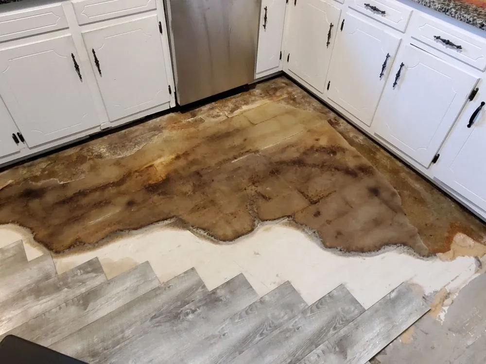 Reliable yard cleanup service near you across Spartanburg, SC - One Source Contracting