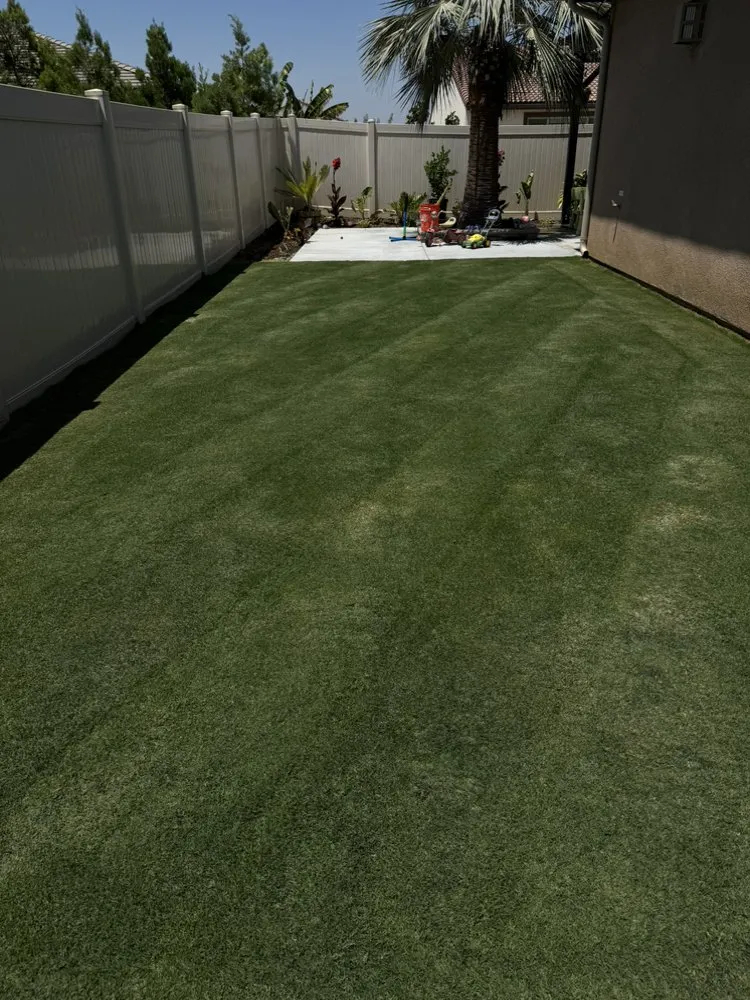 Professional yard maintenance near you across Loma Linda, CA - One Source Environmental