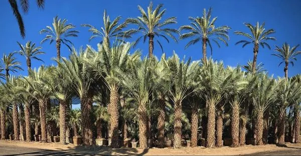 One Source Environmental