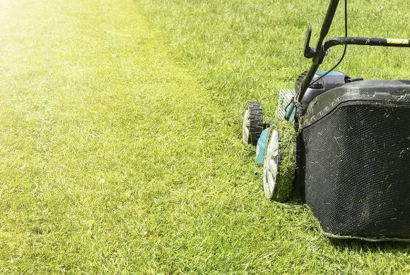 Local residential landscaping experts serving Chattanooga, TN - One Source Lawn & Home Care