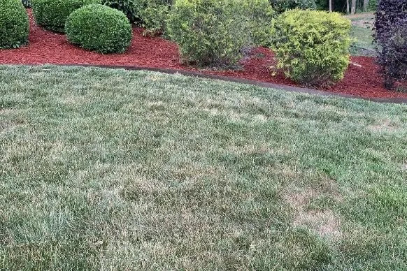 Local lawn mowing service experts serving Chattanooga, TN - One Source Lawn & Home Care