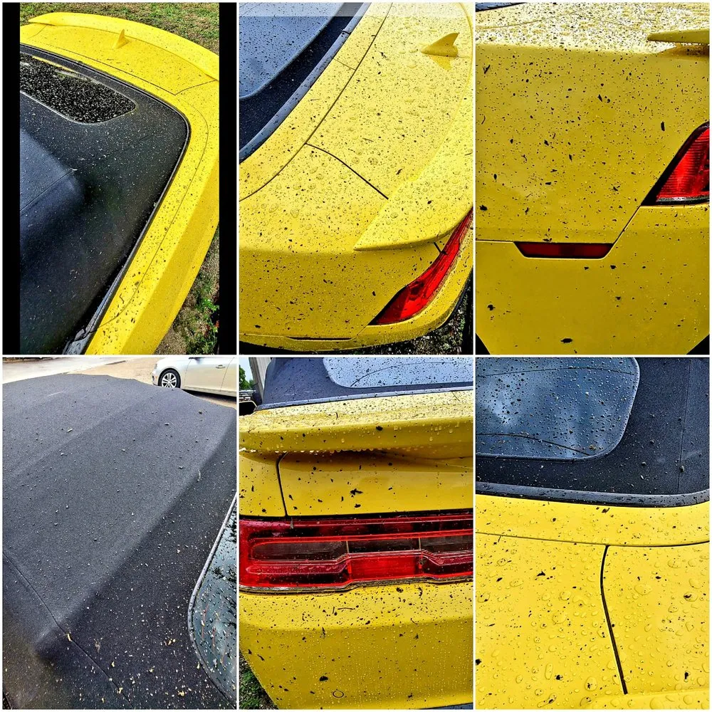 Top-rated residential landscaping with custom design in Fort Myers, FL by One Source Property Solutions