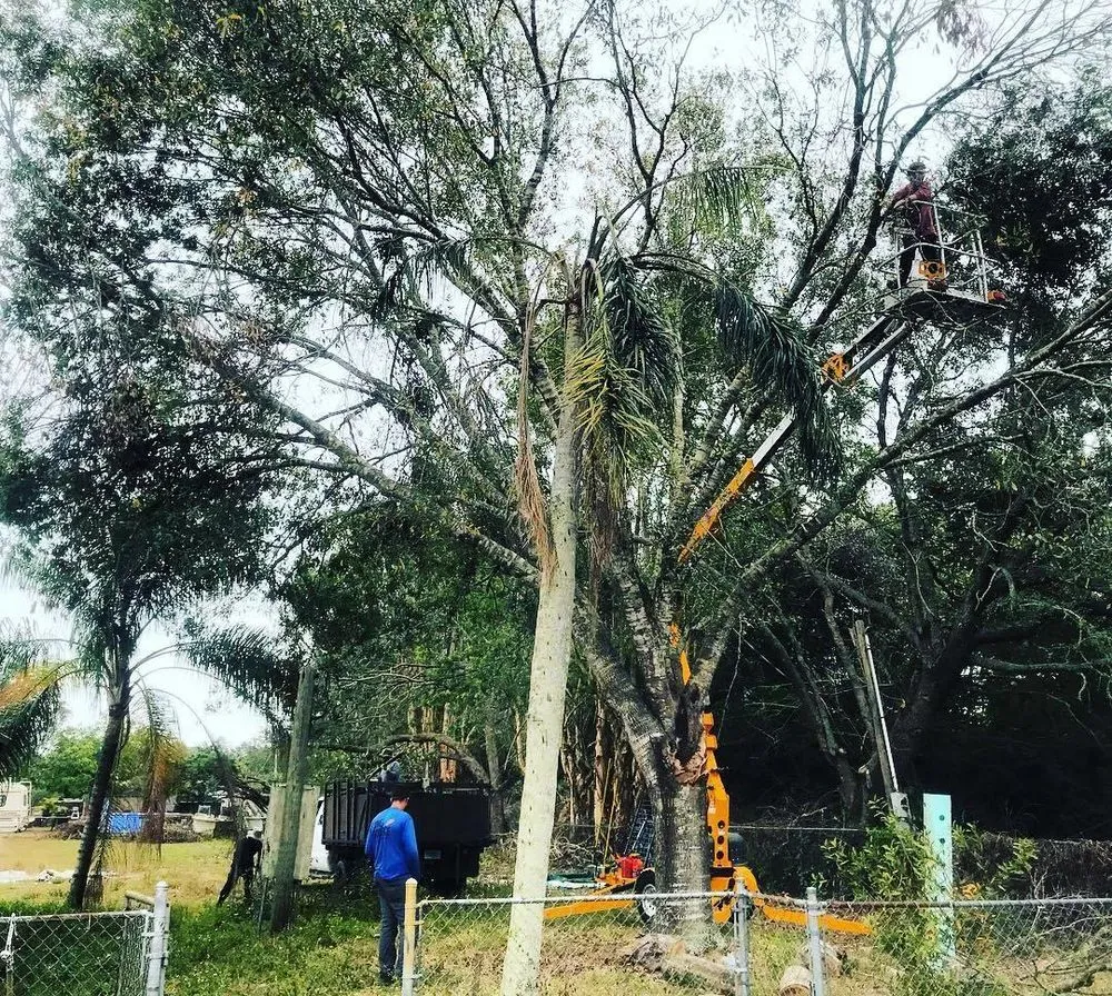 Expert garden landscaping with custom design in Fort Myers, FL by One Source Property Solutions