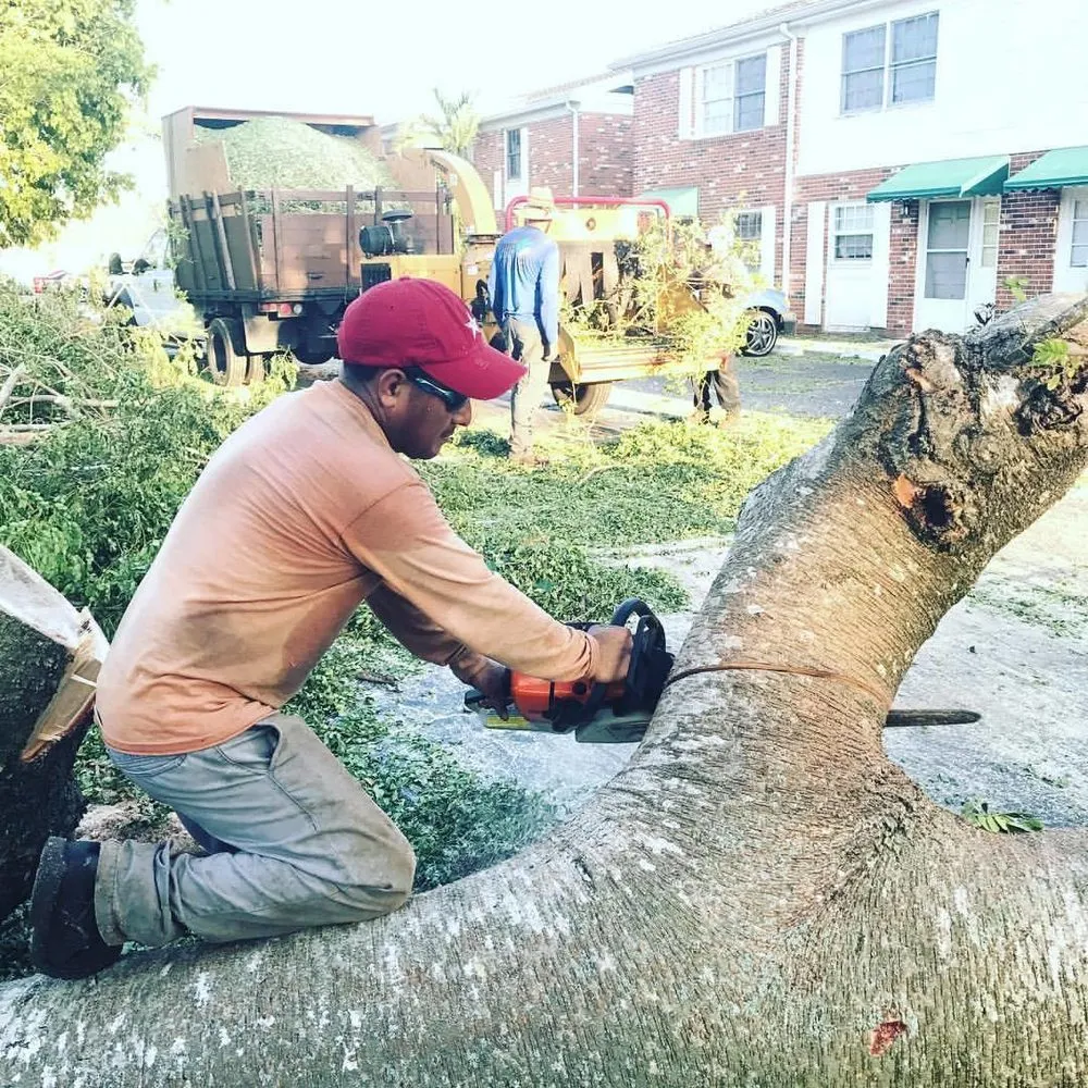 Expert yard maintenance with custom design across Fort Myers, FL - One Source Property Solutions