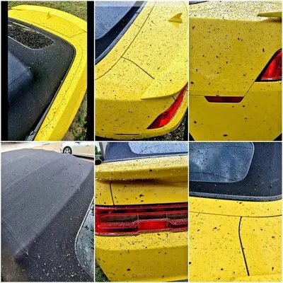 One Source Property Solutions Logo