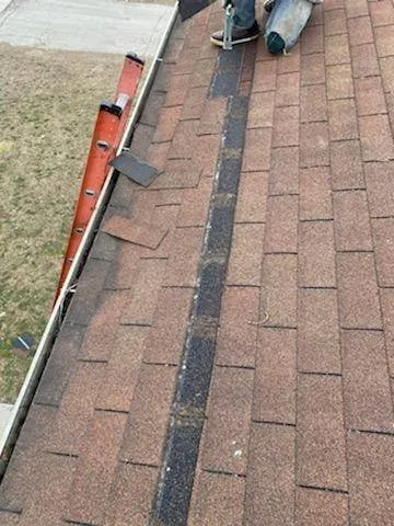 Trusted landscaping services for homes across Toledo, OH - One Source Total Property Solutions