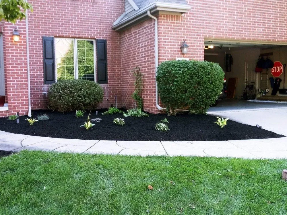 Affordable yard cleanup service experts serving Toledo, OH - One Source Total Property Solutions